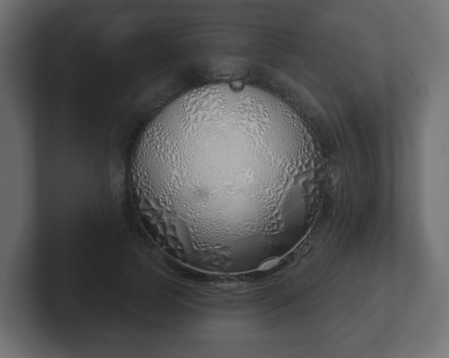 X0000103170745200808291510