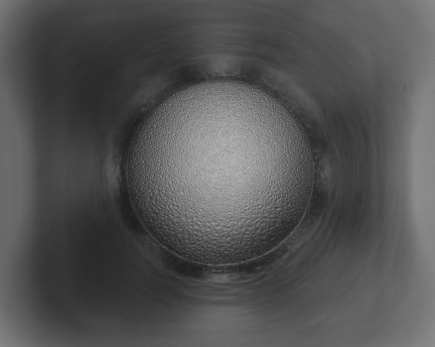 X0000103170746200808291510