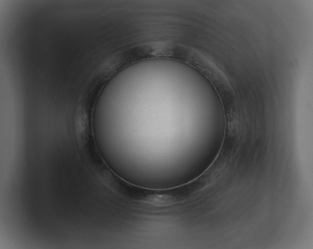 X0000103170748200808291510