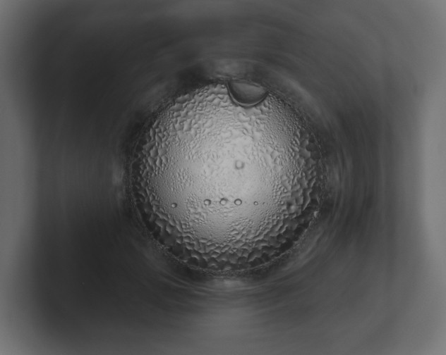 X0000103170749200808291510