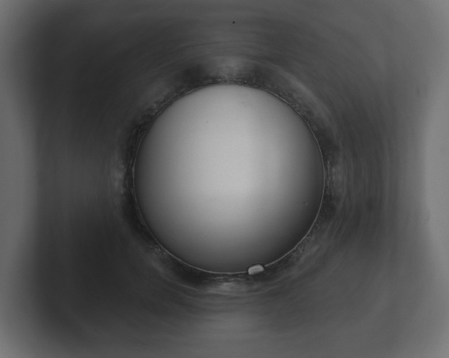 X0000103170750200808291510