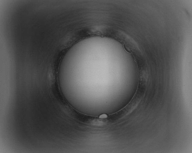 X0000103170751200808291510