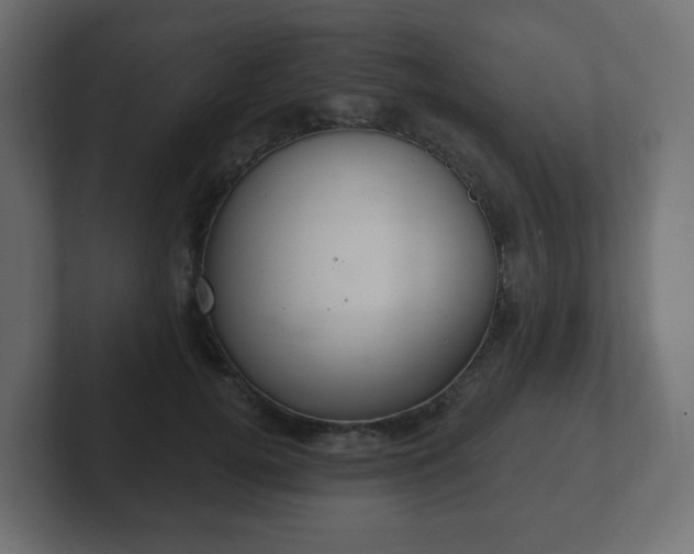 X0000103170752200808291510