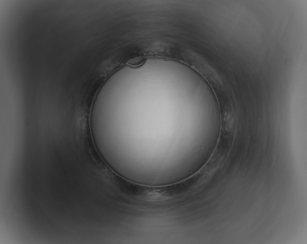 X0000103170753200808291510