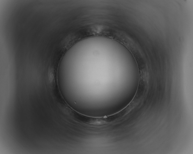 X0000103170754200808291510