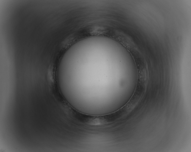 X0000103170755200808291510