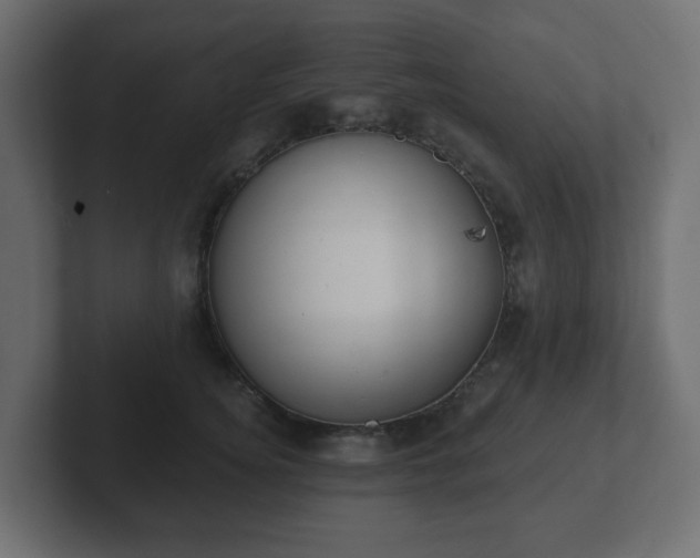 X0000103170756200808291510