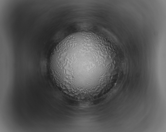 X0000103170757200808291510