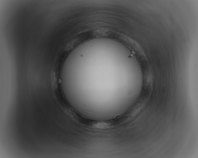 X0000103170759200808291510