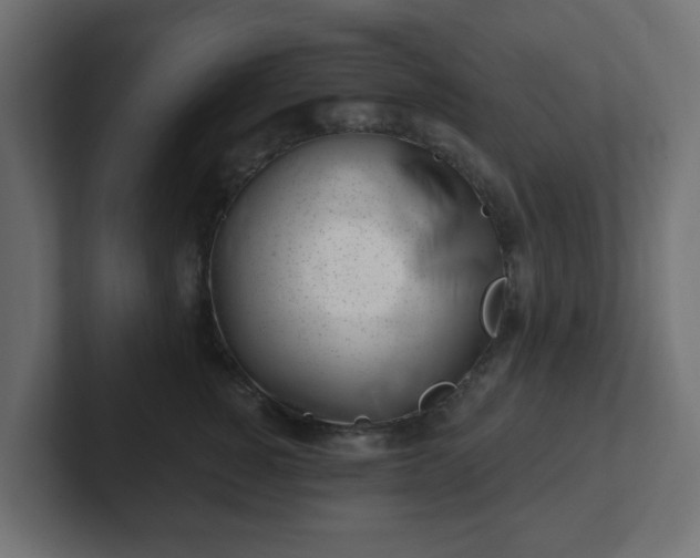 X0000103170760200808291510