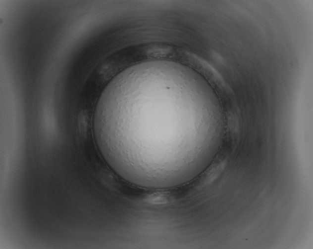 X0000103170761200808291510