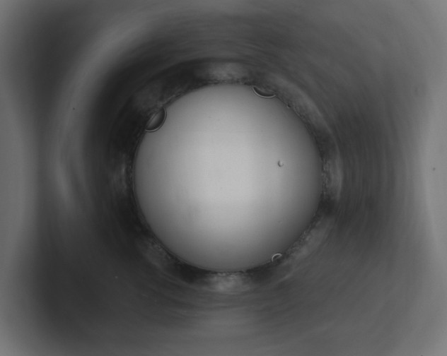 X0000103170762200808291510