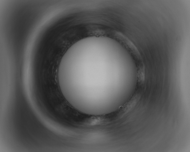 X0000103170764200808291510