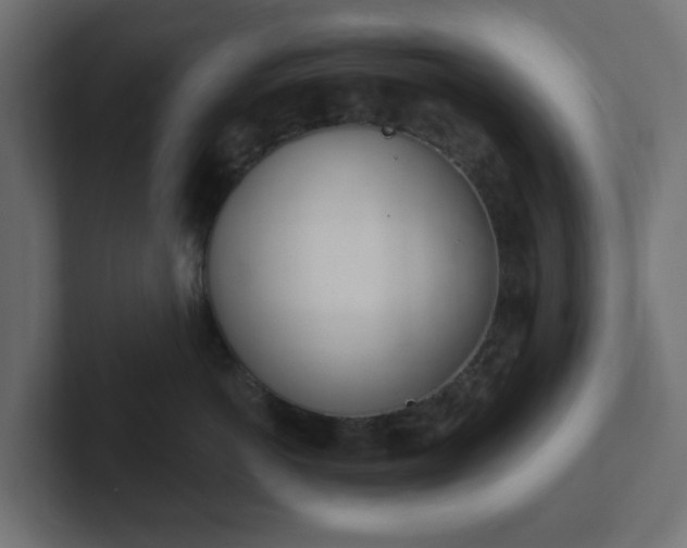 X0000103170766200808291510