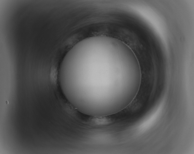 X0000103170767200808291510