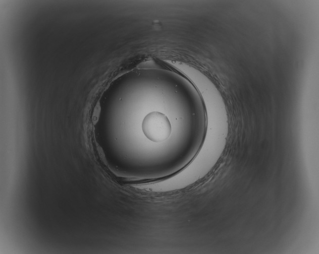 X0000103170769200808291509