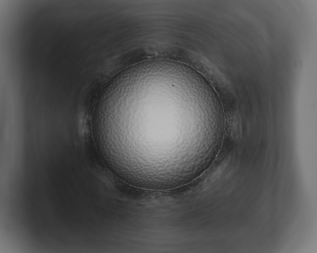 X0000103170770200808291509