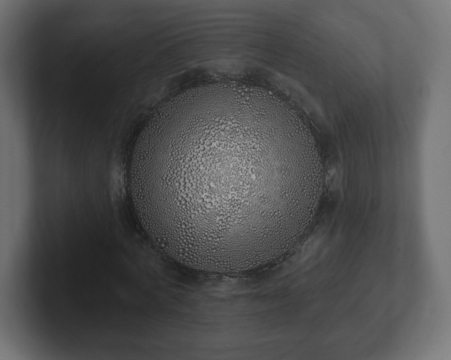 X0000103170772200808291509