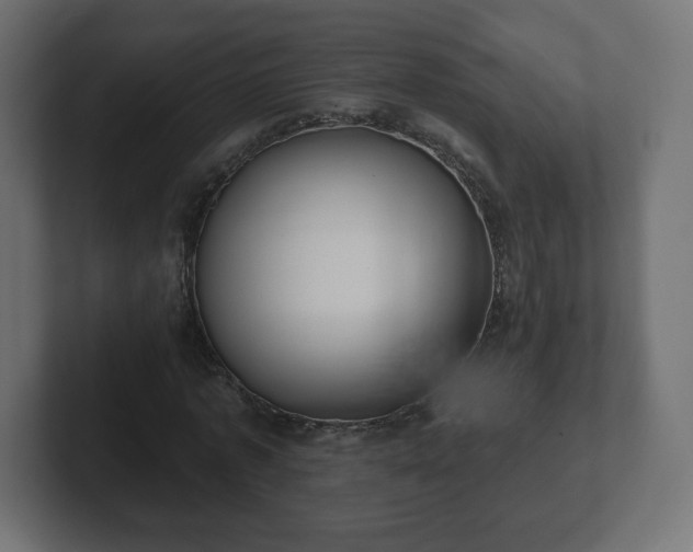 X0000103170773200808291509