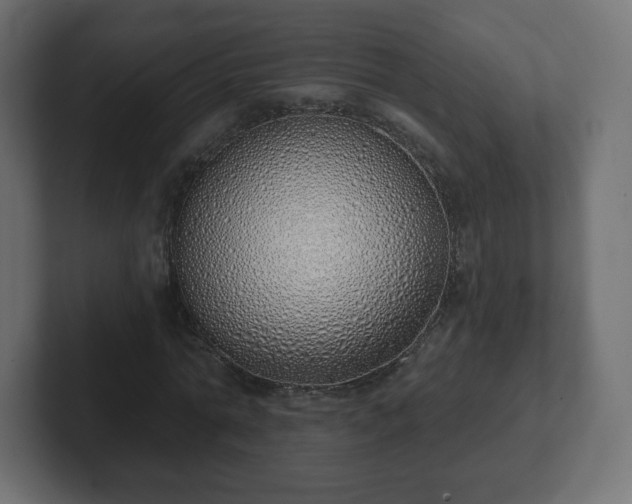 X0000103170774200808291509