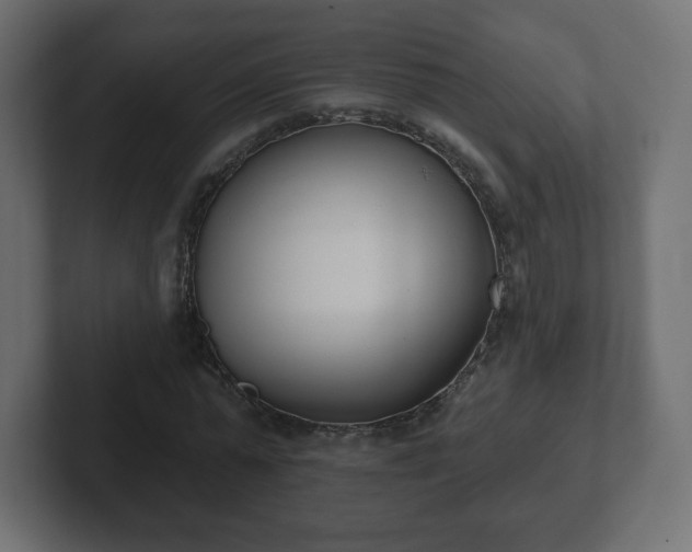 X0000103170775200808291509