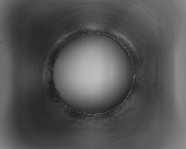 X0000103170776200808291509