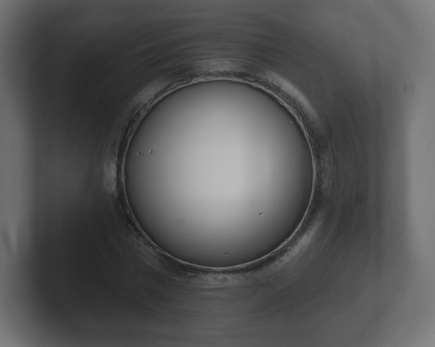 X0000103170777200808291509