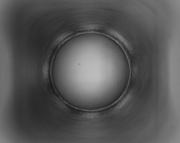 X0000103170778200808291509