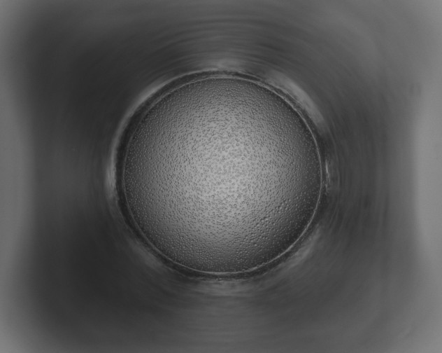 X0000103170780200808291509