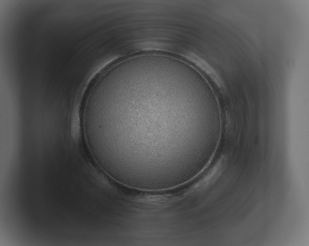 X0000103170782200808291509