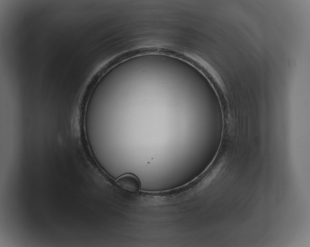 X0000103170783200808291509