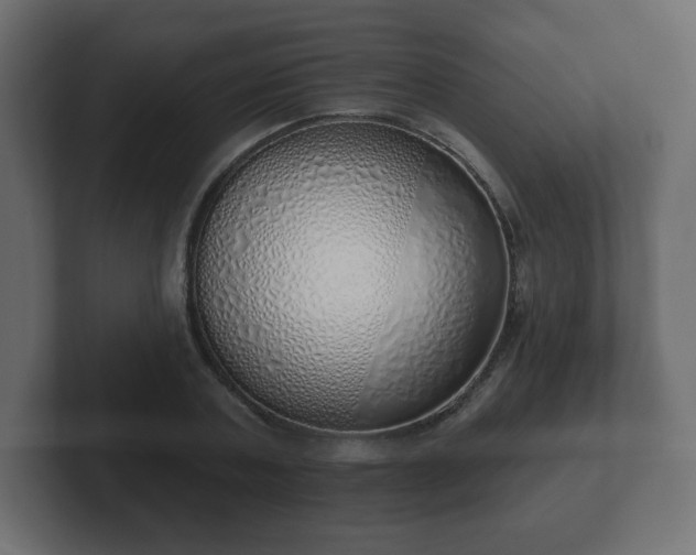 X0000103170787200808291509