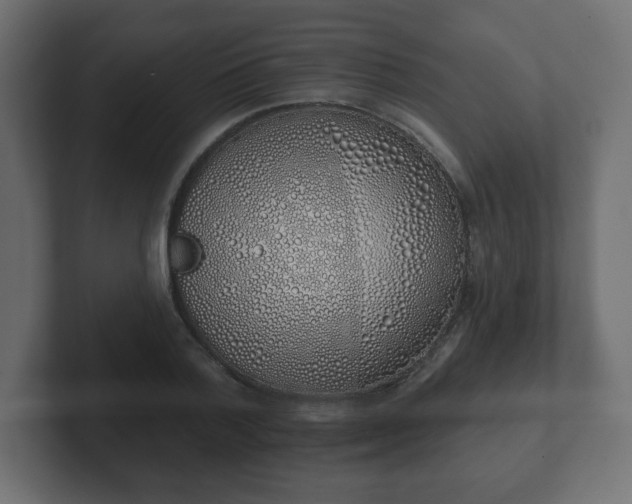 X0000103170788200808291509