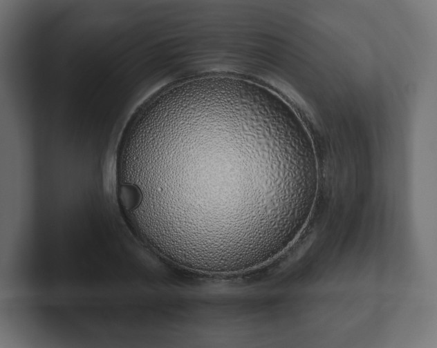 X0000103170790200808291509