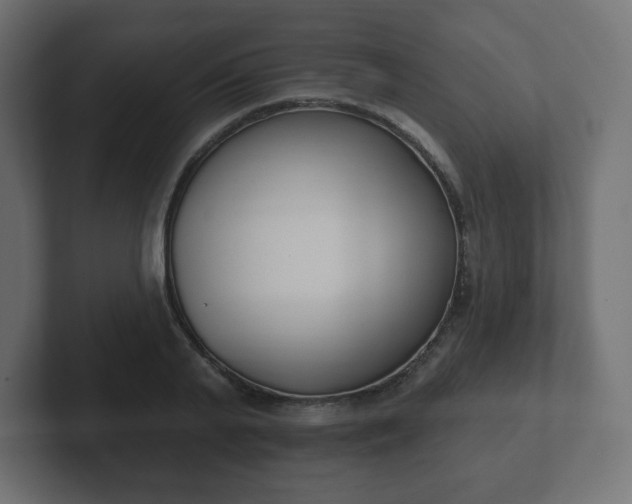 X0000103170791200808291509