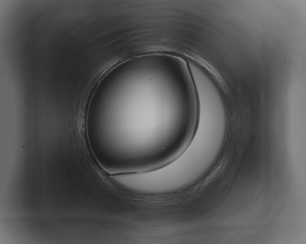 X0000103170793200808291509