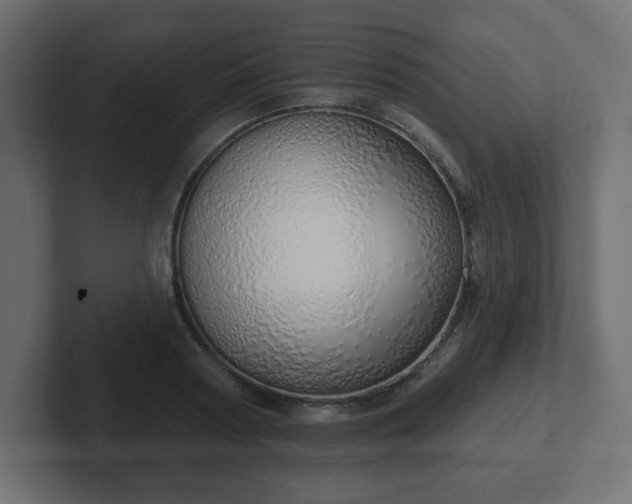 X0000103170794200808291509