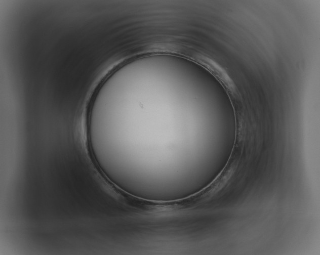 X0000103170796200808291509