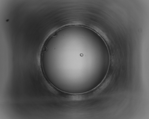 X0000103170797200808291509