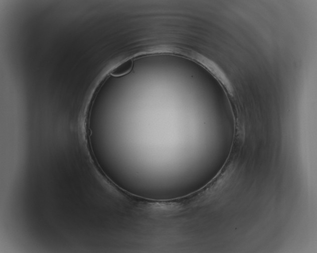 X0000103170805200808291509