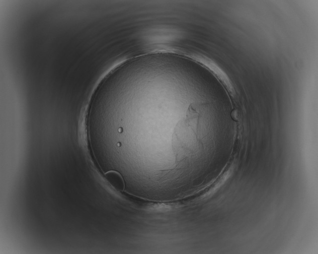 X0000103170806200808291509