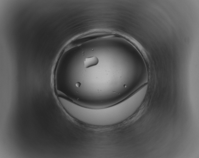 X0000103170807200808291509