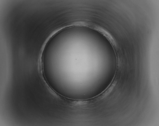 X0000103170808200808291509