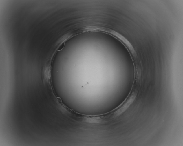 X0000103170809200808291509