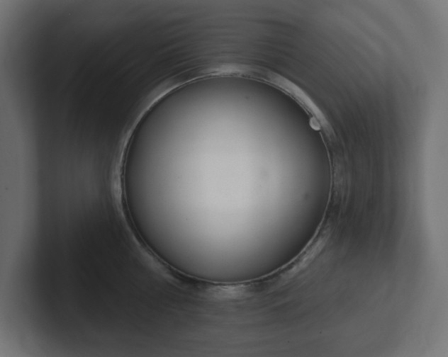 X0000103170810200808291509