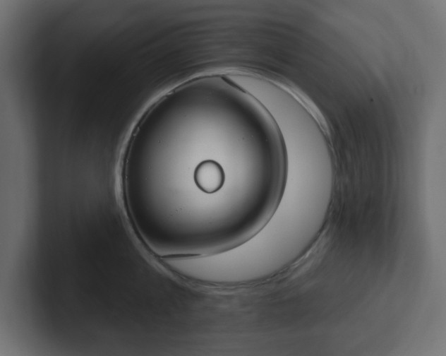 X0000103170813200808291509