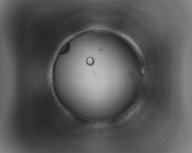 X0000103170815200808291509