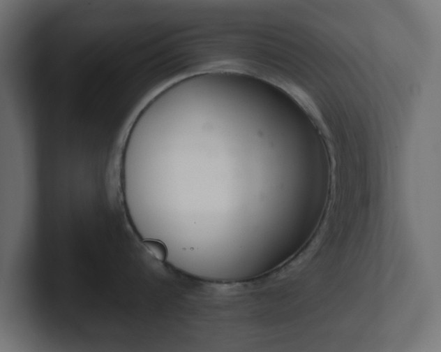 X0000103170816200808291509