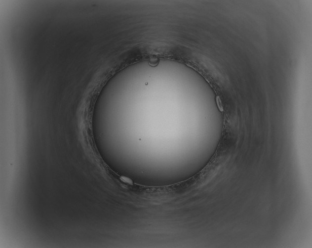 X0000103170817200808291508