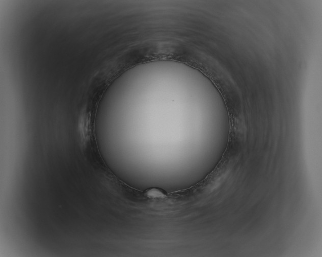 X0000103170818200808291508